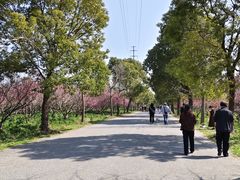 -上海海湾国家森林公园