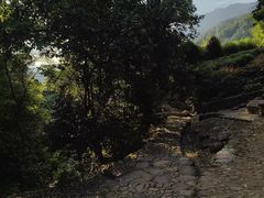 -杨家堂村