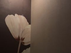 -东方棕泉·洗浴·按摩·美食国际水疗会所(福田店)
