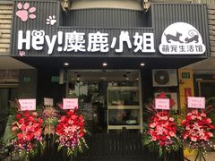 -1013 PET SHOP精品宠物商店(丁香店)