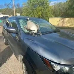 -Oasis Beauty水磨坊科技美肤中心