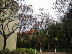 -厦门大学(思明校区)