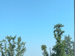-余姚四明湖开元名都度假酒店·夏威夷西餐厅