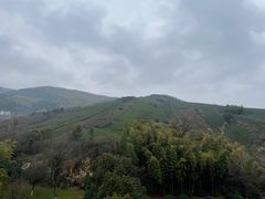 -天目湖御水温泉·度假酒店