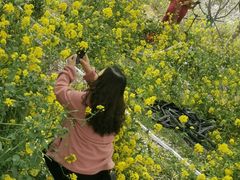 -古柏渡飞黄旅游区