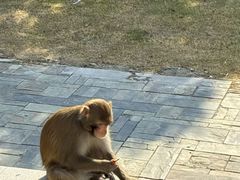 -苏州环秀晓筑养生度假村