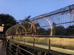 -广东天露山旅游度假区