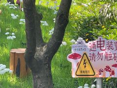 -七彩云南古滇温泉山庄