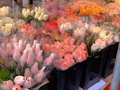 -循礼门鲜花花市(武汉循礼门店)