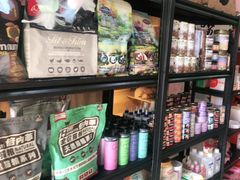 -喵百万·布偶·蓝金金渐层英短·猫舍(百子湾店)