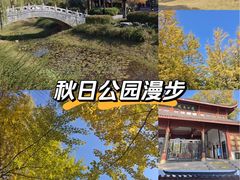 -堤角公园