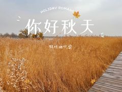 -野鸭湖国家湿地公园