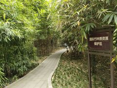 -望江楼公园