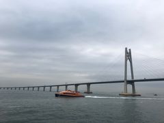 -招商蛇口邮轮母港(观光客运)