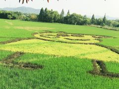 -白塔湖国家湿地公园