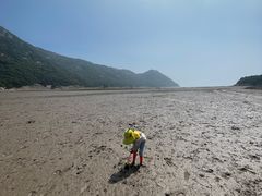 -花岙岛