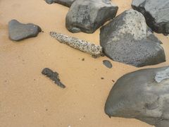 -白沙门生态公园