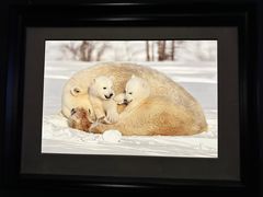 -罗红摄影艺术馆