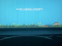 -SFC上影影城(成都科华IMAX店)