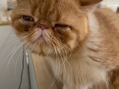 -平行世界·猫咖(首经贸店)