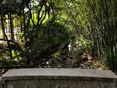 -深圳仙湖植物园