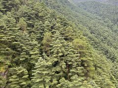 -苍山感通索道