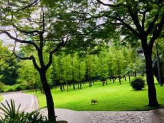 -晓港公园