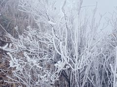 -金子山原生态旅游风景区