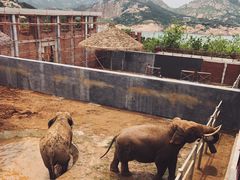 -西霞口神雕山野生动物世界