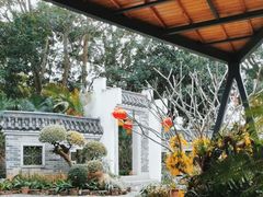 -东莞植物园