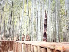 -九真山风景区