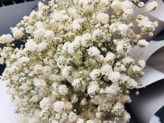 -ChaKo Flora ·茶子花艺 (市北店)