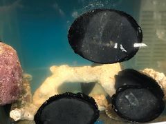 -同乐酒楼(皇后镇店)