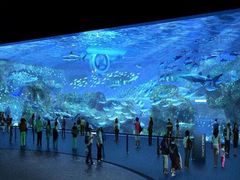 -成都浩海立方海洋公园