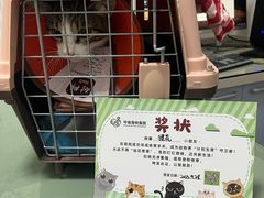 -守诺宠物医院·眼科· 神经外科·爬宠专科(虹口店)