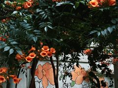-虎丘山风景名胜区