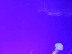 -哈尔滨波塞冬海底世界