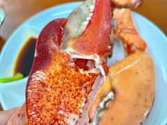-强记龙虾钳(定安里店)