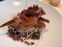 贡椒乳鸽王-南堂館川菜文化餐厅(天府店)