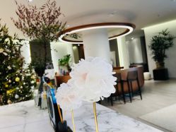 -LB·海菲秀牛奶光官方体验中心