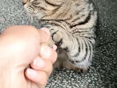 -小赖鱼馆