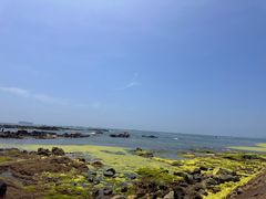 -青岛第二海水浴场