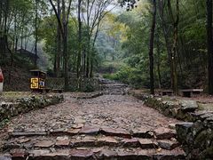 -仙霞关景区