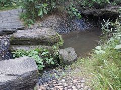 -水濂山森林公园