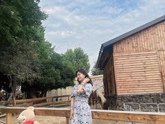 -HERRE·FARM 赫尔露营农场·团建聚会包场