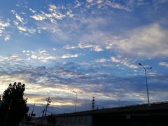-王四营海鲜市场