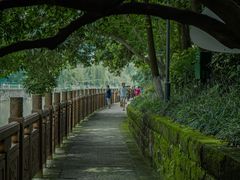 -成都市活水公园