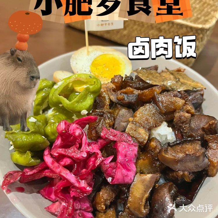 河源[调皮]好上头的卤肉饭在这里