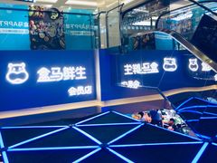 -盒马鲜生(枣园路店)