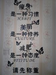 -孙劝艾美